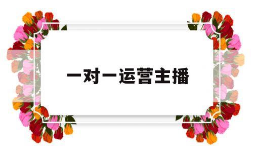 一对一运营主播(主播一对一运营是什么意思)