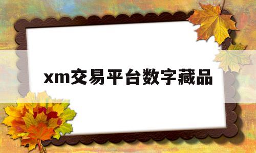 xm交易平台数字藏品(xm交易平台数字藏品怎么看交易记录)
