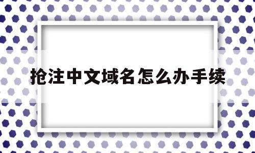 抢注中文域名怎么办手续(抢注中文域名怎么办手续的)