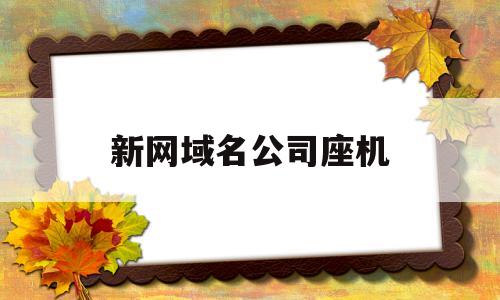 新网域名公司座机(公司网站域名如何申请)