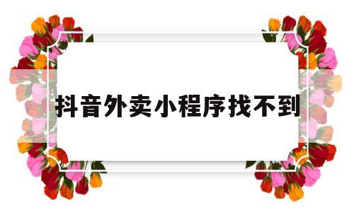 抖音外卖小程序找不到(为什么我的抖音找不到小程序)