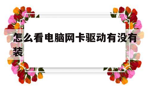 怎么看电脑网卡驱动有没有装(怎么看电脑网卡驱动有没有装好)