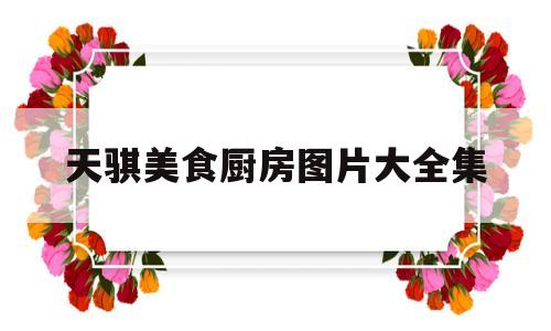 天骐美食厨房图片大全集(天骐美食厨房图片大全集高清)