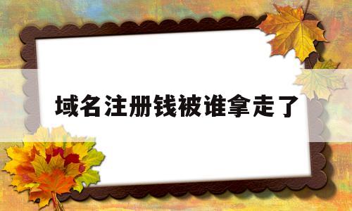 域名注册钱被谁拿走了(注册了域名之后能赚钱吗)