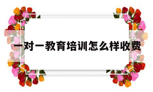 一对一教育培训怎么样收费(一对一培训多少钱)