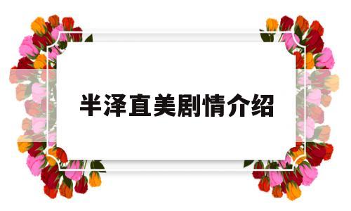 半泽直美剧情介绍的简单介绍