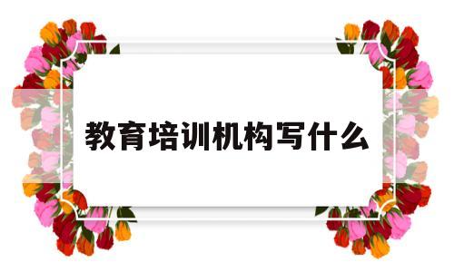 教育培训机构写什么(教育培训机构写什么地方)