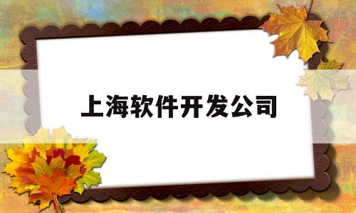 上海软件开发公司(上海软件开发公司怎么选,上海软件开发公司哪家好)