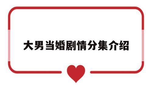 大男当婚剧情分集介绍(大男当婚大结局剧情介绍)