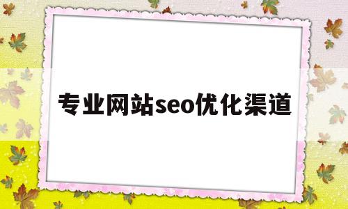 专业网站seo优化渠道的简单介绍