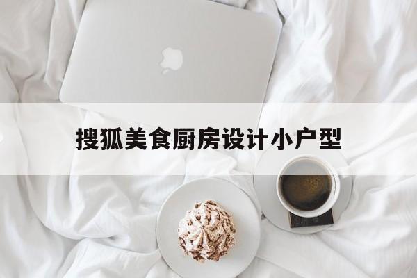 搜狐美食厨房设计小户型的简单介绍