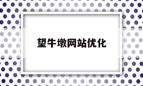 包含望牛墩网站优化的词条