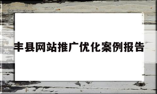 丰县网站推广优化案例报告的简单介绍