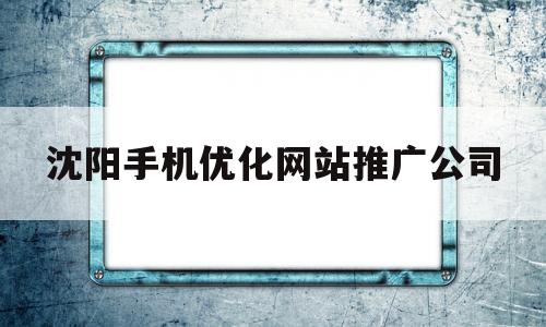 沈阳手机优化网站推广公司(沈阳网站SEO优化外包服务)
