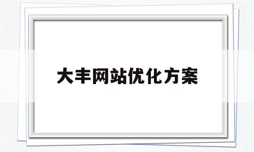 大丰网站优化方案(网站的优化方案怎么写)