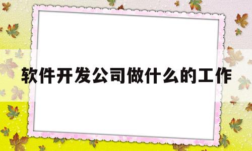 软件开发公司做什么的工作(软件开发公司做什么的工作内容)
