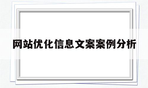 包含网站优化信息文案案例分析的词条