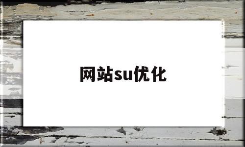网站su优化(优化网站的步骤)