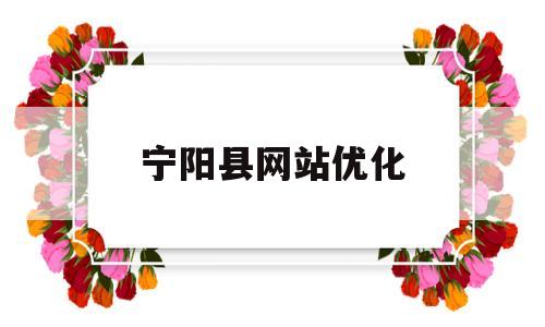宁阳县网站优化(宁阳网站优化公司)