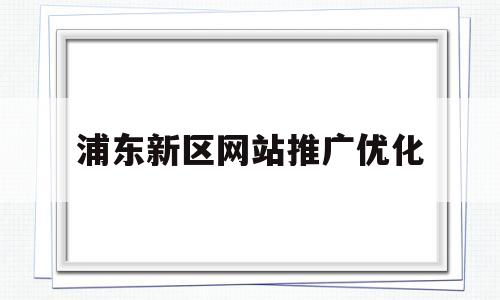 浦东新区网站推广优化(网站推广优化是什么意思)