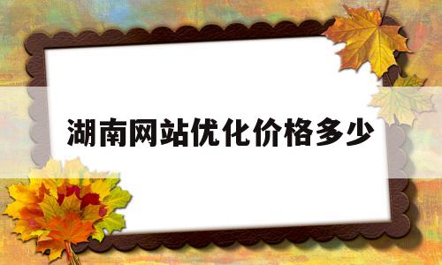 湖南网站优化价格多少的简单介绍