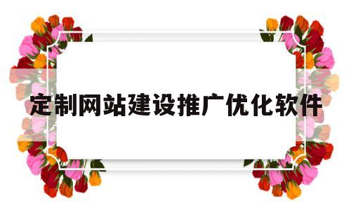 定制网站建设推广优化软件(定制网站建设推广优化软件有哪些)