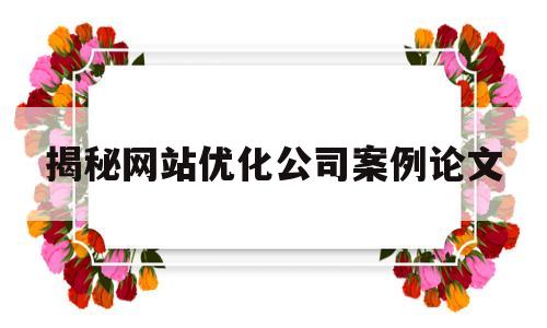 揭秘网站优化公司案例论文(揭秘网站优化公司案例论文范文)