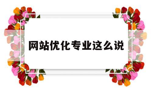 网站优化专业这么说(网站优化排名哪家专业)
