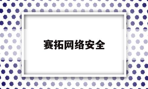 赛拓网络安全(派拓网络安全公司)