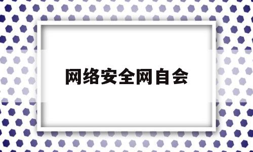 网络安全网自会(网络安全 hvv)