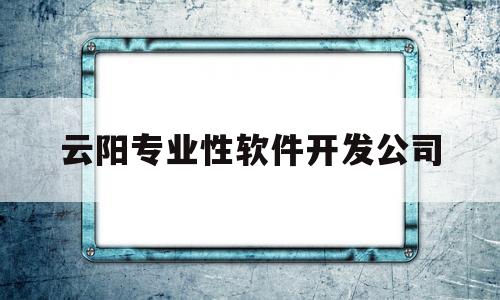 云阳专业性软件开发公司的简单介绍
