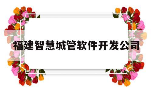 福建智慧城管软件开发公司(福建智慧城市信息科技有限公司)