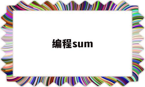 编程sum(编程surprise下载)