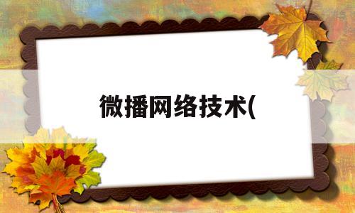 微播网络技术((微播网络技术是什么)
