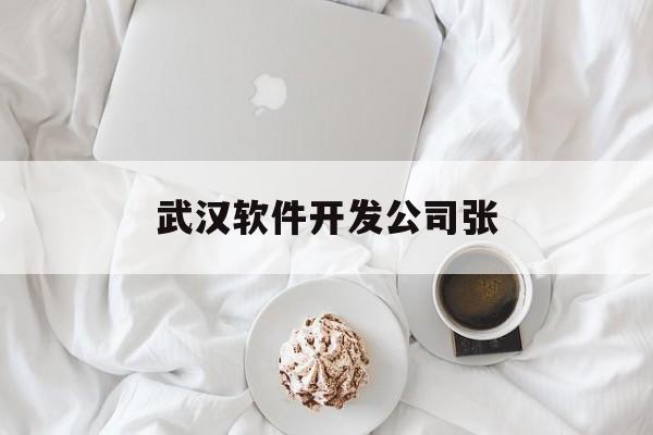 武汉软件开发公司张(武汉开发软件好的公司)