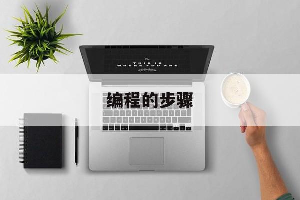 编程的步骤(定时器编程的步骤)