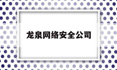 龙泉网络安全公司(龙泉网络安全公司有哪些)