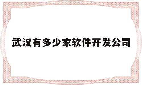 武汉有多少家软件开发公司(武汉有多少家软件开发公司在哪里)
