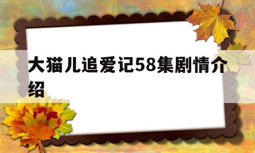 大猫儿追爱记58集剧情介绍(大猫儿追爱记58集剧情介绍大全)