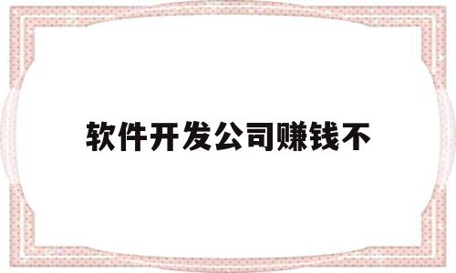 软件开发公司赚钱不(软件开发工作室赚钱吗)