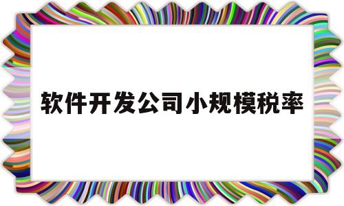 软件开发公司小规模税率(软件开发公司一般纳税人税率多少)
