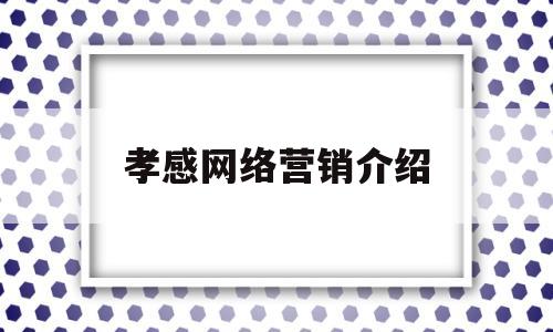 孝感网络营销介绍(网络营销经典案例介绍)