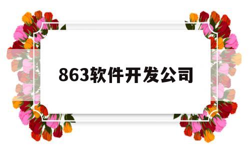 863软件开发公司(863软件开发公司招聘)