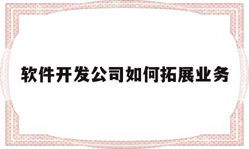 软件开发公司如何拓展业务(软件开发公司如何拓展业务经营)