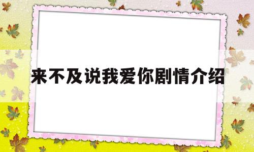 来不及说我爱你剧情介绍(电视剧来不及说我爱你剧情介绍)