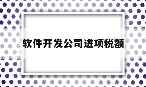 软件开发公司进项税额(软件开发公司进项是什么)