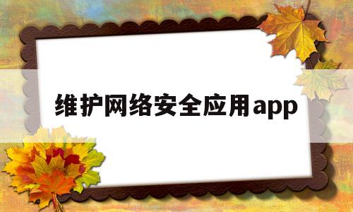 维护网络安全应用app(维护网络安全用英语怎么说)