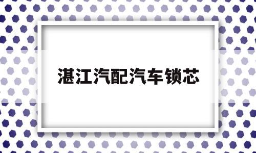 湛江汽配汽车锁芯(汽车锁芯多少钱一个)