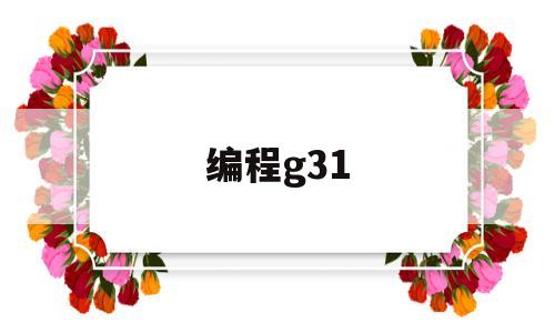 编程g31(编程G3是什么意思)