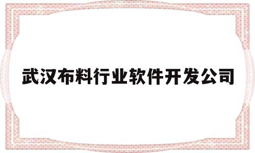 武汉布料行业软件开发公司(武汉布料批发)